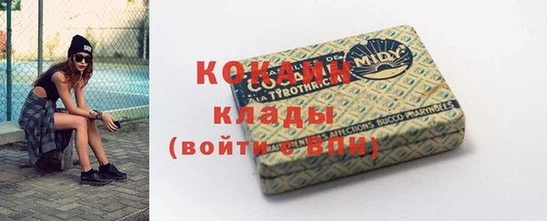 гашик Инта