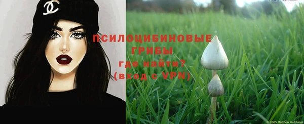 гашик Инта