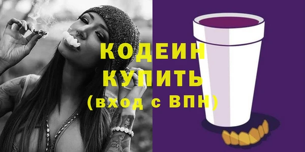 гашик Инта