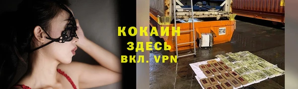 гашик Инта