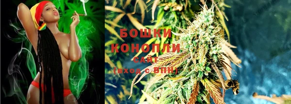 гашик Инта