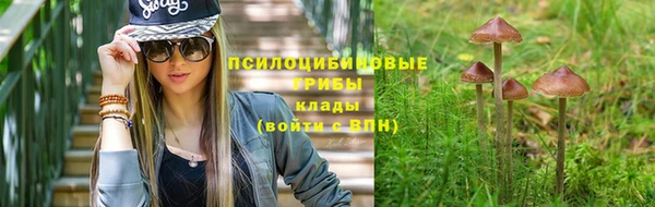 MESCALINE Инсар