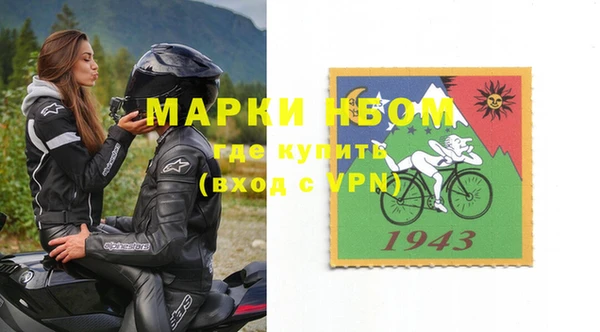 гашик Инта