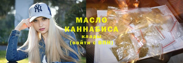 гашик Инта