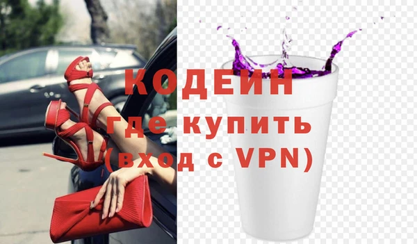 гашик Инта