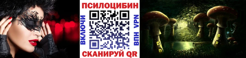 Купить где  Михайлов  Псилоцибиновые грибы прущие грибы 